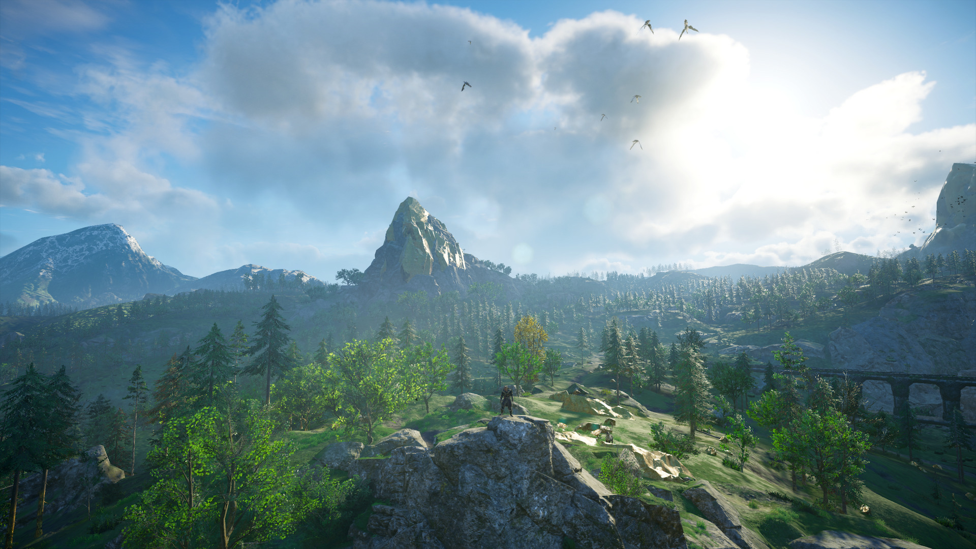 The camera has zoomed out from Havi in the centre of the image, showing the forests and mountains around them