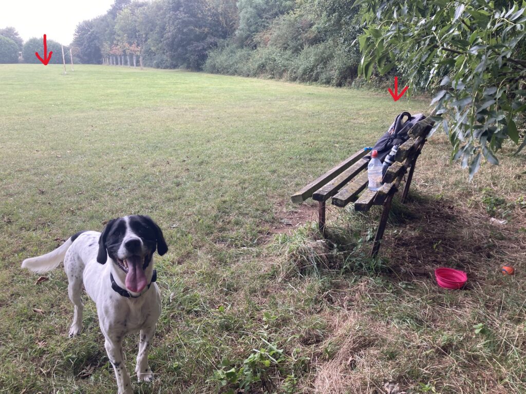 a field showing a set of goal posts in the distance and a bench in the foreground with a rucksack on it and a a dog standing looking at the camera
